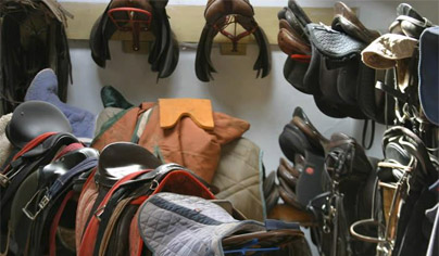 Somerset Riding School and Equestrian Supplies