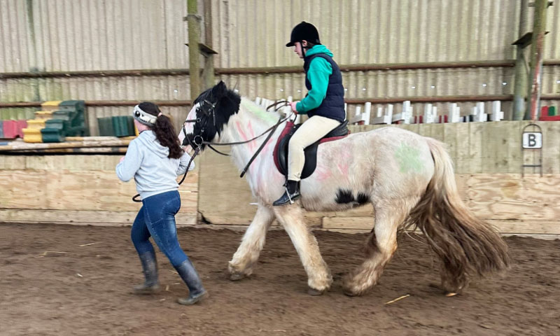 Horse Riding Lessons Wellington