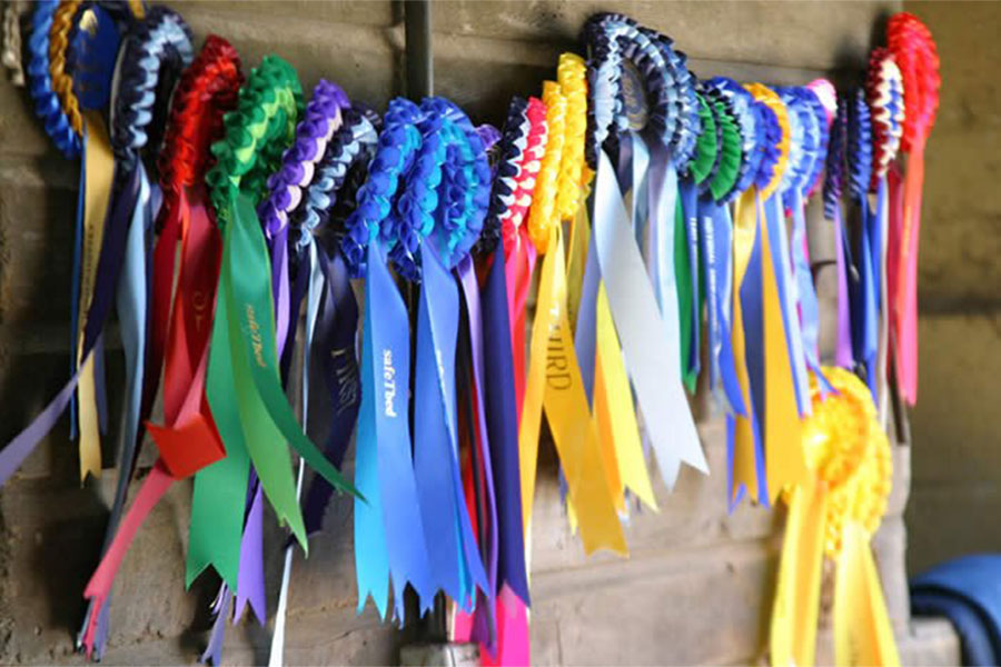 Horse Riding Stables Wellington