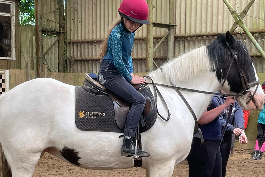 Horse Riding Stables Wellington