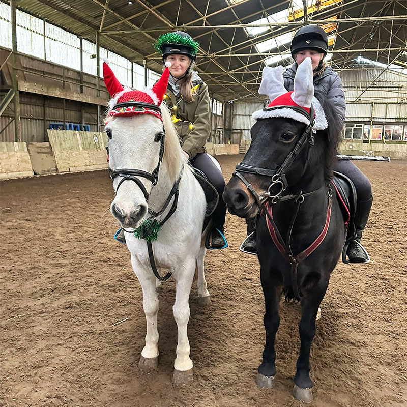 Horse Riding Lessons Wellington