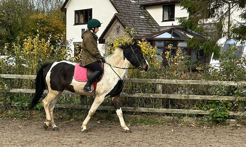 Horse Riding Lessons Wellington