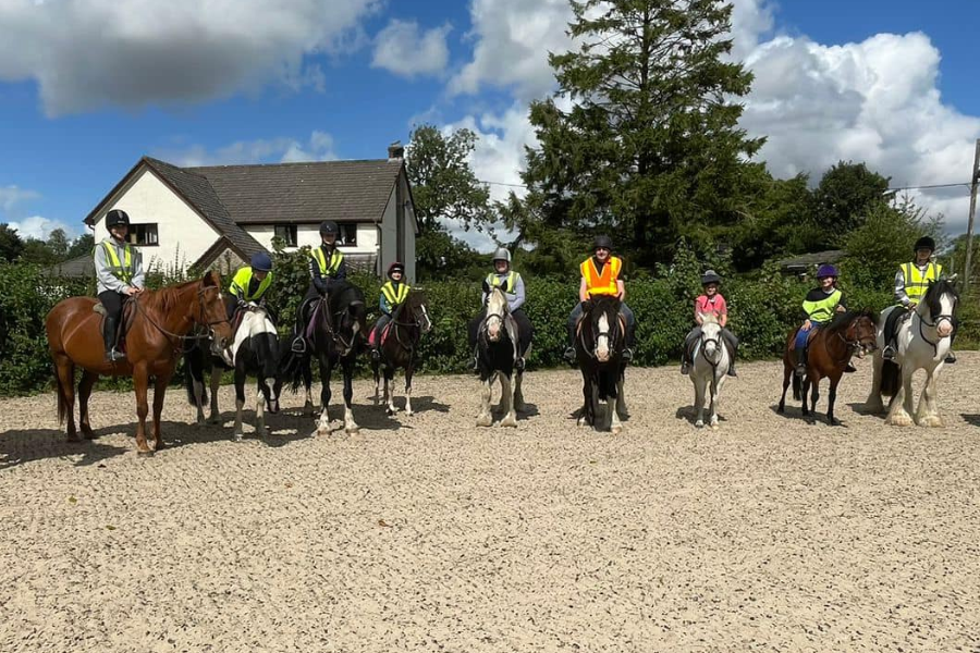 Horse Riding Stables Wellington