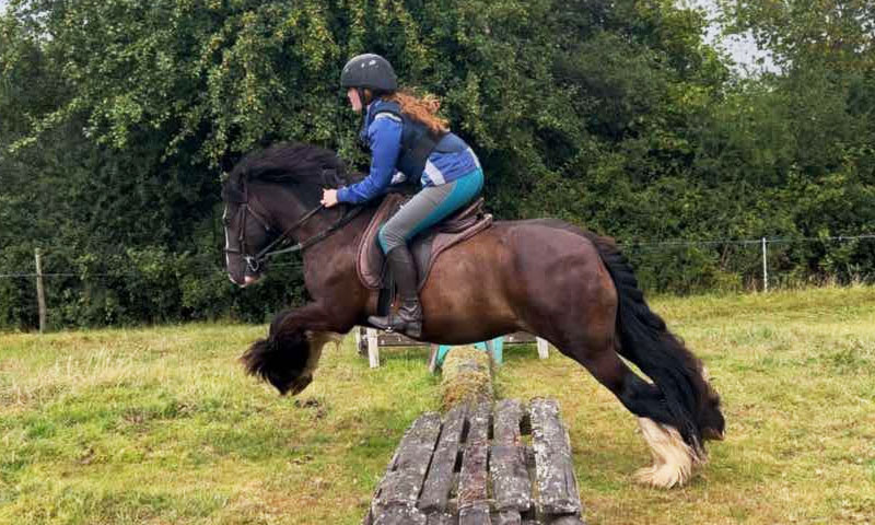 horseback-riding_wellington Horseback Riding Wellington