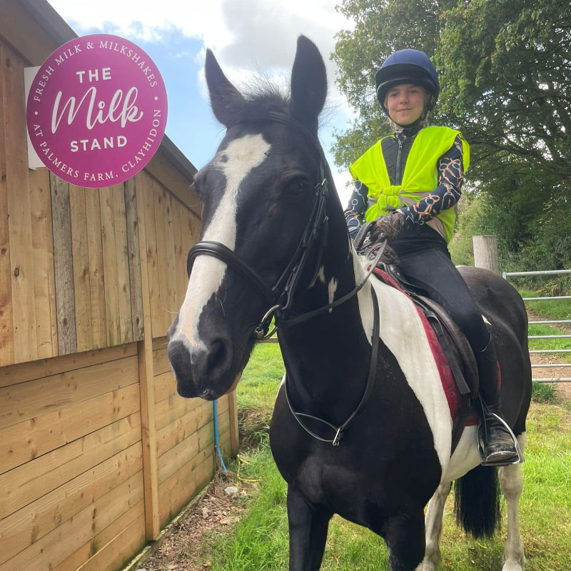 Horse Riding Stables Wellington