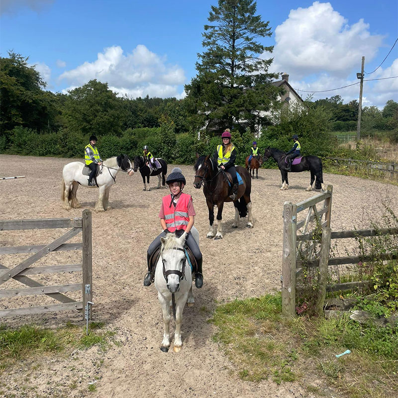 Horse Riding Stables Wellington