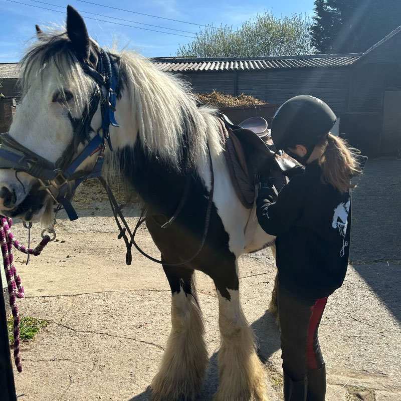 Horse Riding Stables Wellington